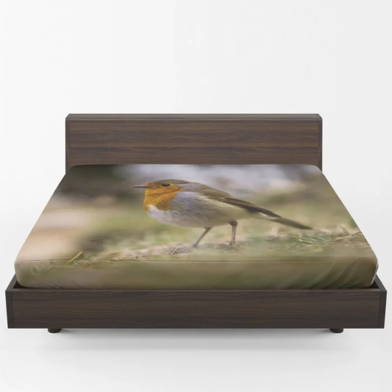 Robin Joyful Song Melodic Avian Fitted Sheet