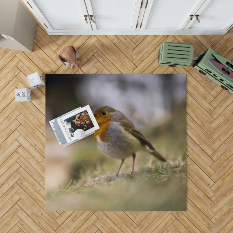 Robin Joyful Song Melodic Avian Rug