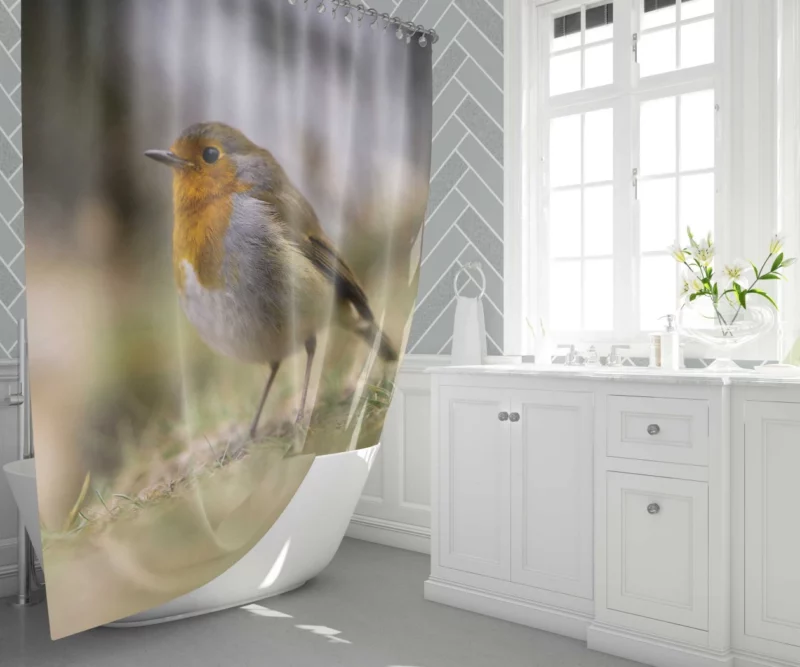 Robin Joyful Song Melodic Avian Shower Curtain 1