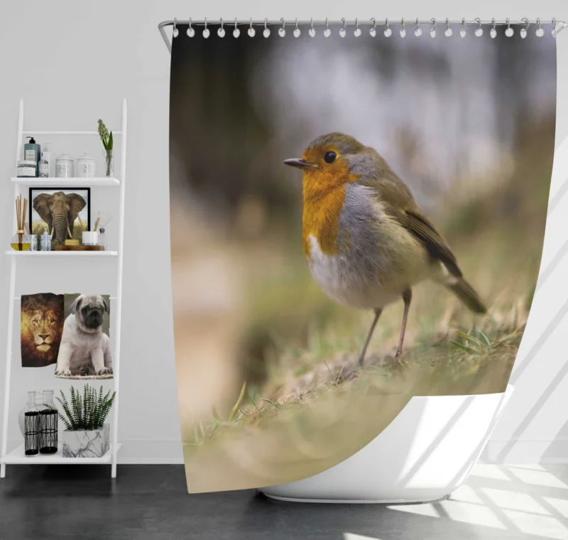 Robin Joyful Song Melodic Avian Shower Curtain