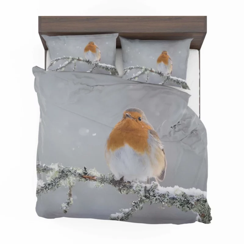 Robin in Snowfall Winter Beauty Bedding Set 1