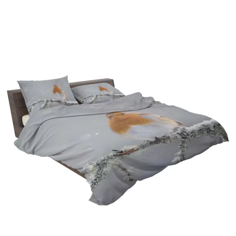 Robin in Snowfall Winter Beauty Bedding Set 2