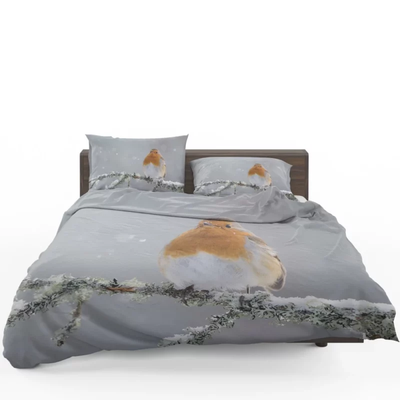 Robin in Snowfall Winter Beauty Bedding Set