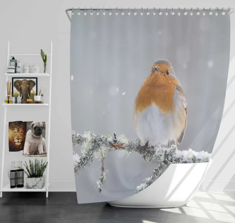 Robin in Snowfall Winter Beauty Shower Curtain