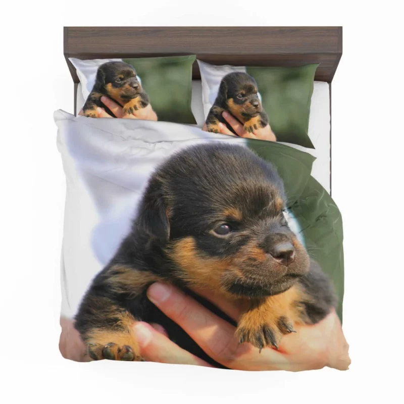 Rottweiler Puppy Canine Charmer Bedding Set 1