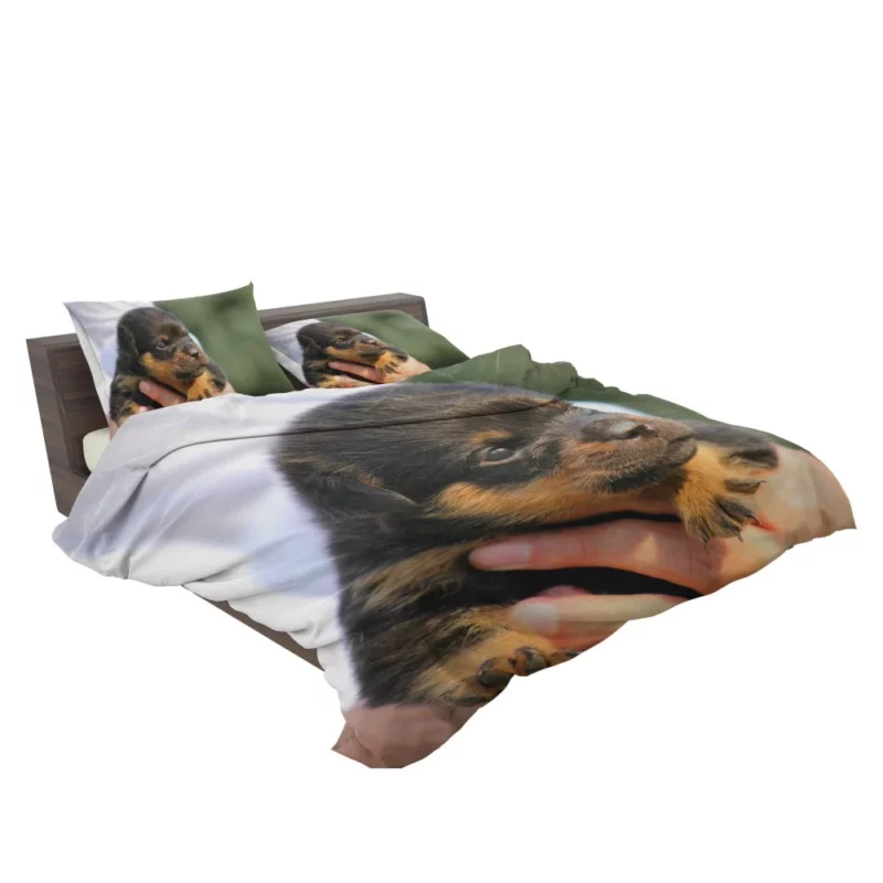 Rottweiler Puppy Canine Charmer Bedding Set 2