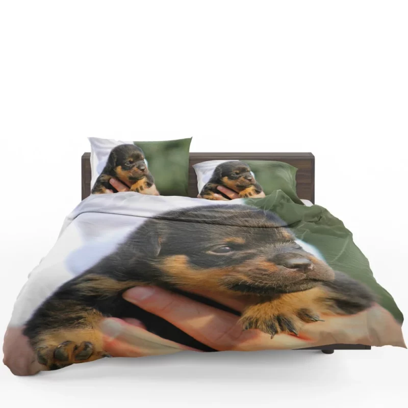 Rottweiler Puppy Canine Charmer Bedding Set