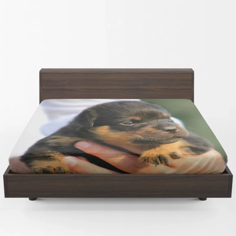 Rottweiler Puppy Canine Charmer Fitted Sheet