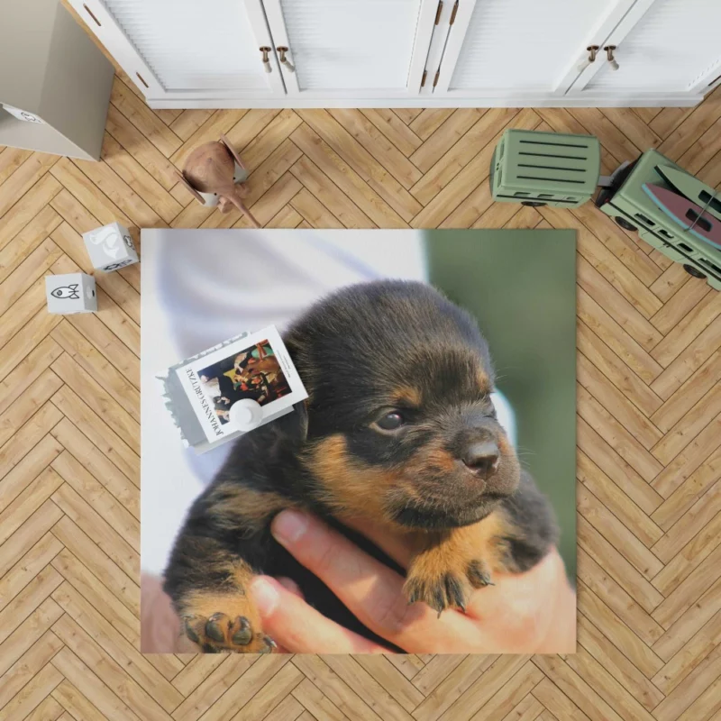 Rottweiler Puppy Canine Charmer Rug