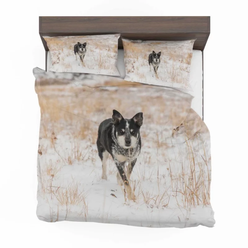 Rottweiler Puppy Playful Charm Bedding Set 1