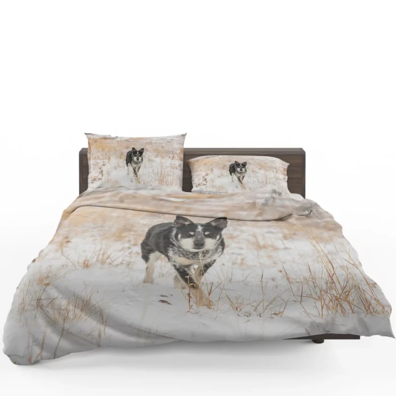 Rottweiler Puppy Playful Charm Bedding Set