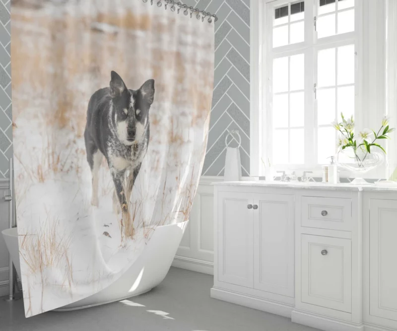 Rottweiler Puppy Playful Charm Shower Curtain 1