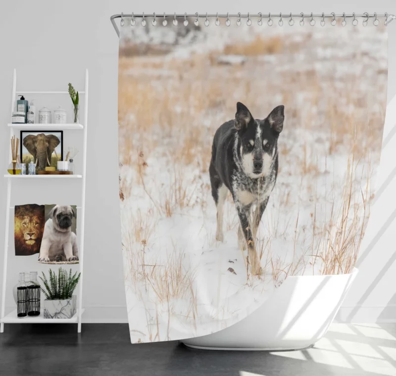 Rottweiler Puppy Playful Charm Shower Curtain