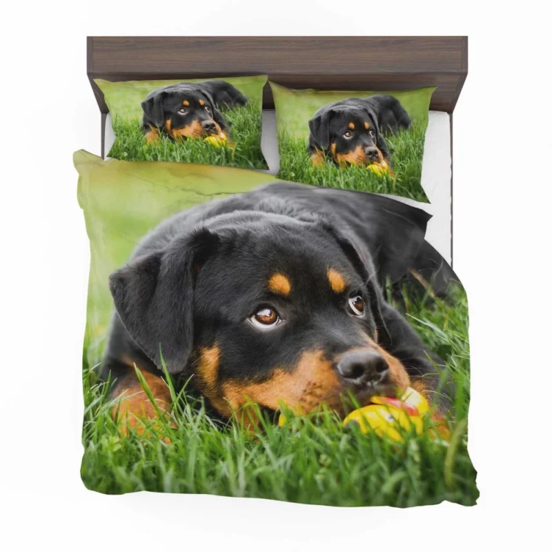 Rottweiler Puppy Playful Energy Bedding Set 1