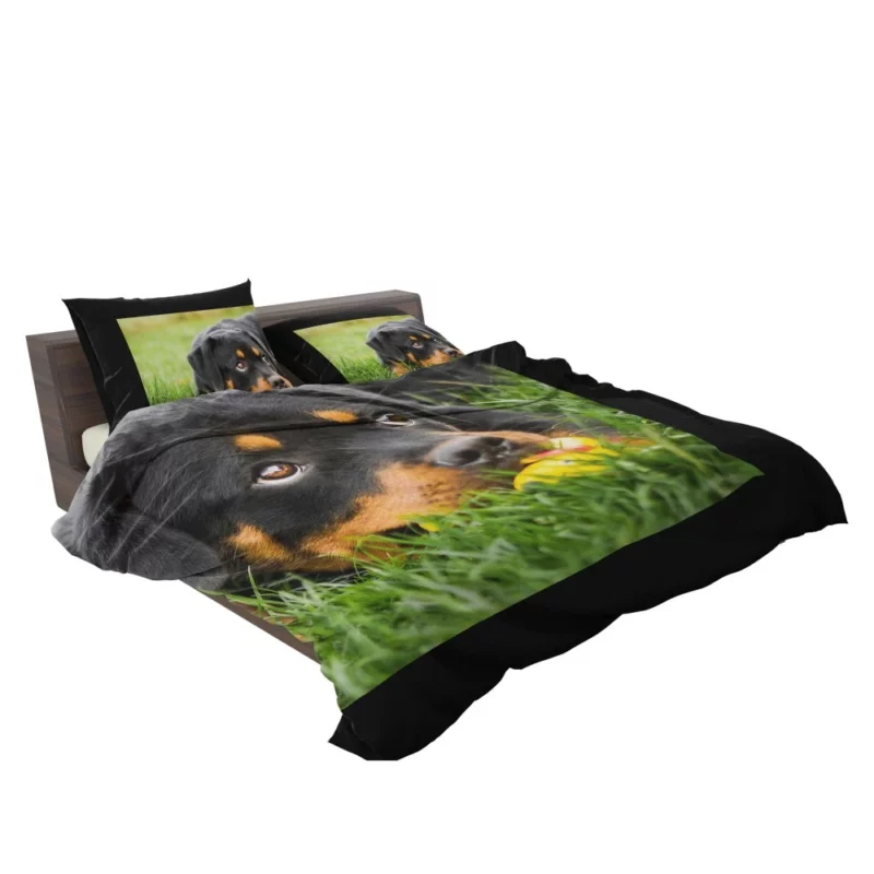 Rottweiler Puppy Playful Energy Bedding Set 2