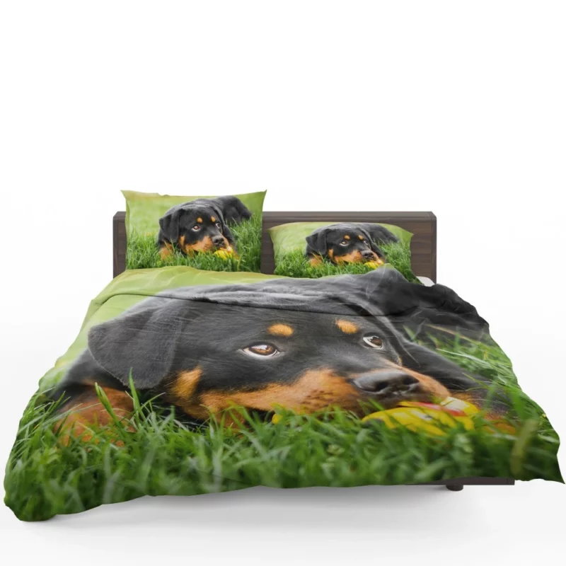 Rottweiler Puppy Playful Energy Bedding Set