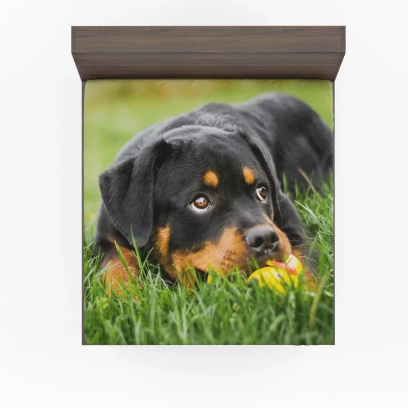 Rottweiler Puppy Playful Energy Fitted Sheet 1