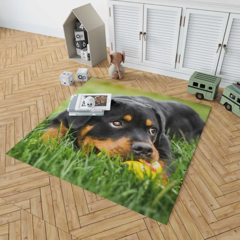 Rottweiler Puppy Playful Energy Rug 1