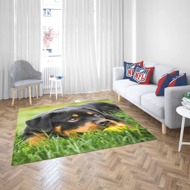 Rottweiler Puppy Playful Energy Rug 2