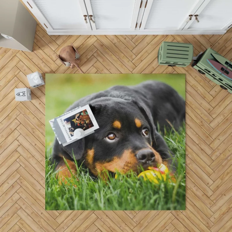 Rottweiler Puppy Playful Energy Rug