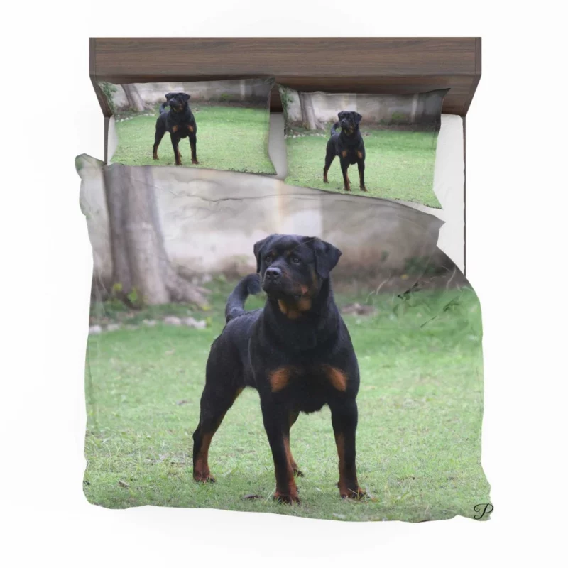 Rottweiler Regal Gaze Loyal Companion Bedding Set 1