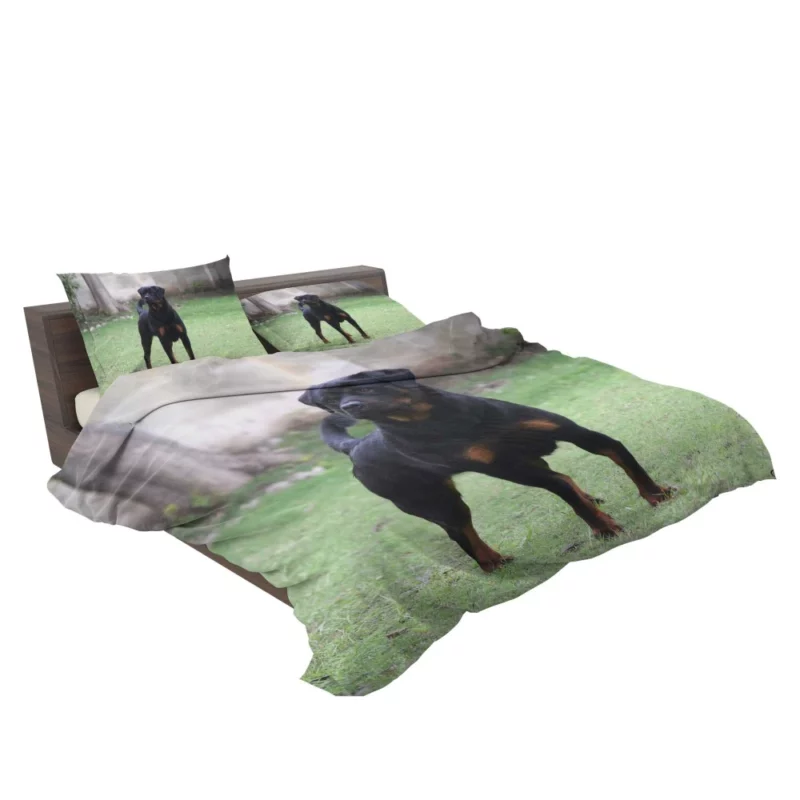 Rottweiler Regal Gaze Loyal Companion Bedding Set 2