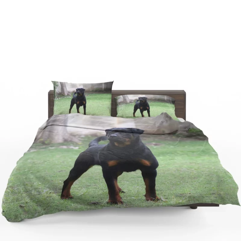 Rottweiler Regal Gaze Loyal Companion Bedding Set