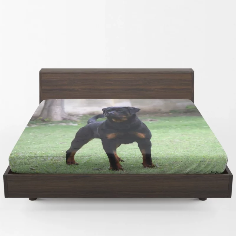 Rottweiler Regal Gaze Loyal Companion Fitted Sheet