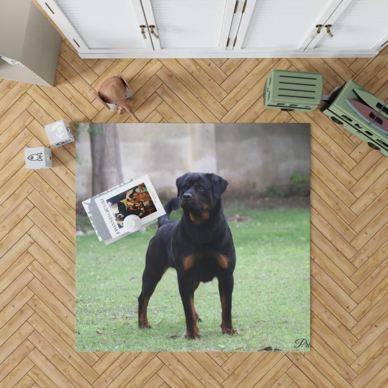 Rottweiler Regal Gaze Loyal Companion Rug