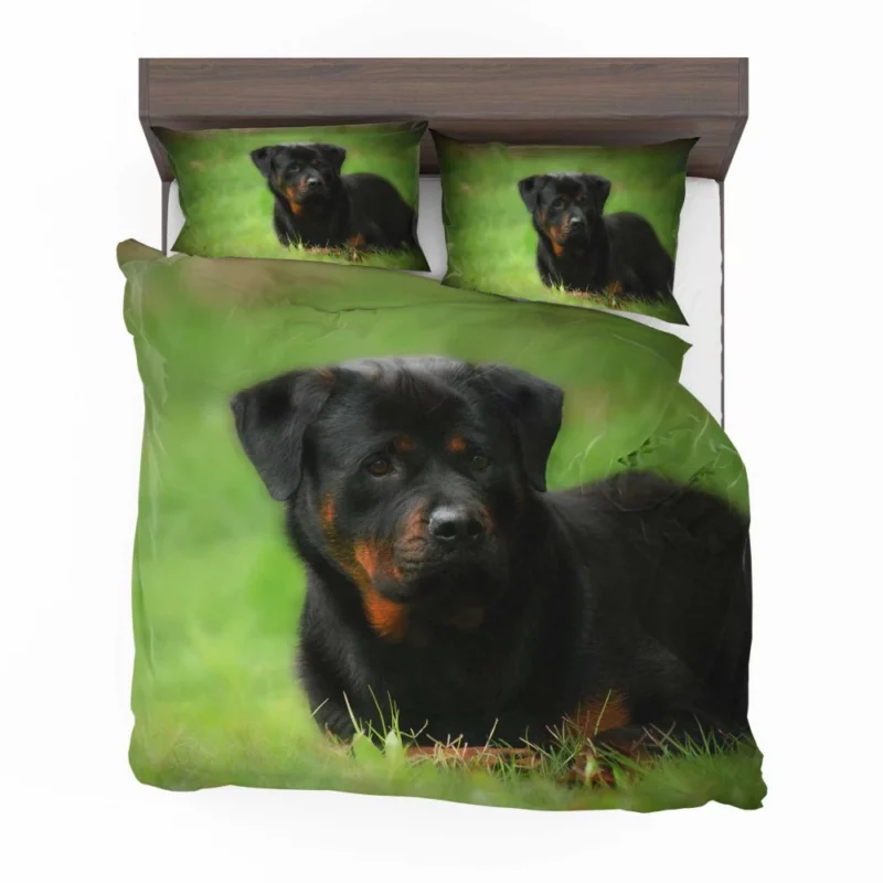 Rottweiler Strength Faithful Guardian Bedding Set 1