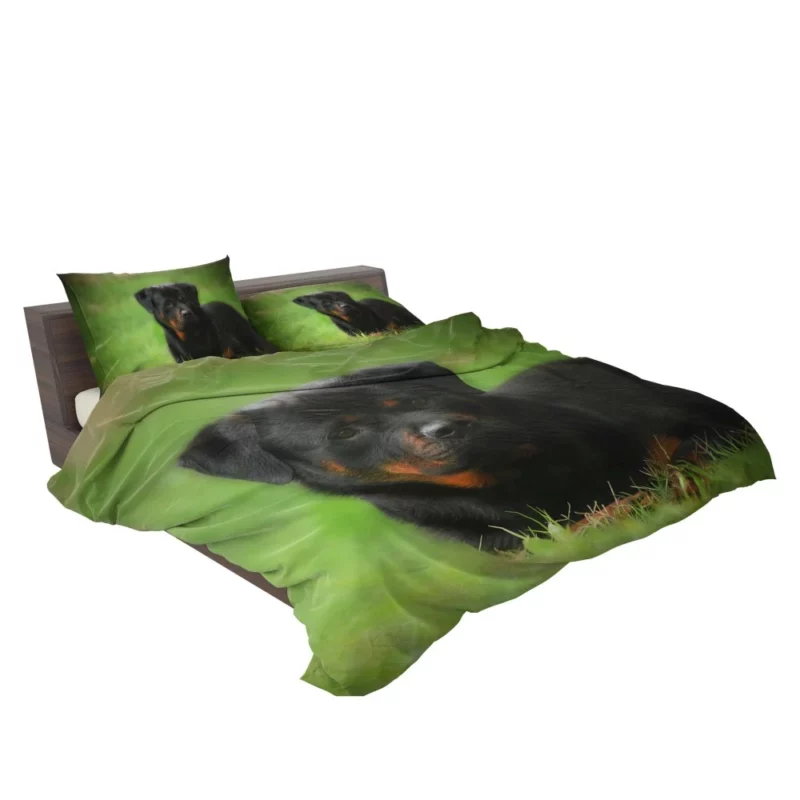 Rottweiler Strength Faithful Guardian Bedding Set 2