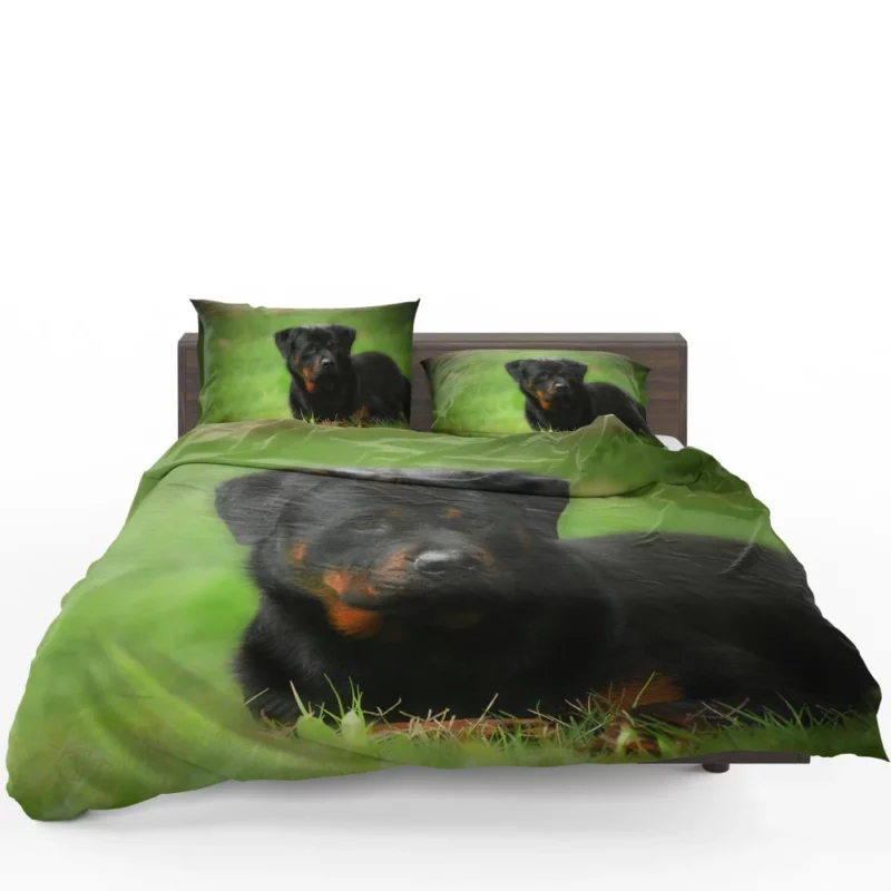 Rottweiler Strength Faithful Guardian Bedding Set