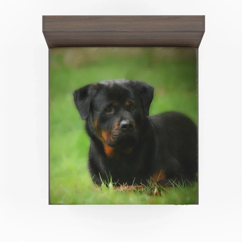 Rottweiler Strength Faithful Guardian Fitted Sheet 1