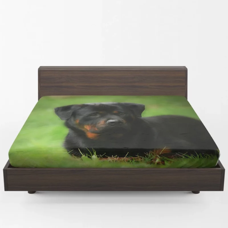 Rottweiler Strength Faithful Guardian Fitted Sheet