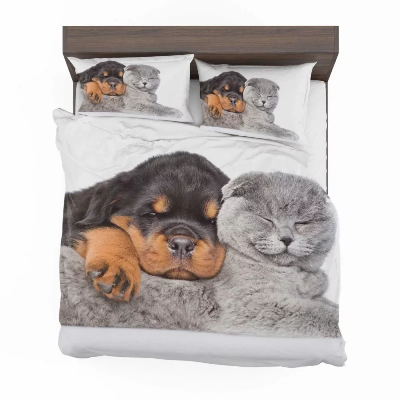 Rottweiler and Cat Cute Camaraderie Bedding Set 1