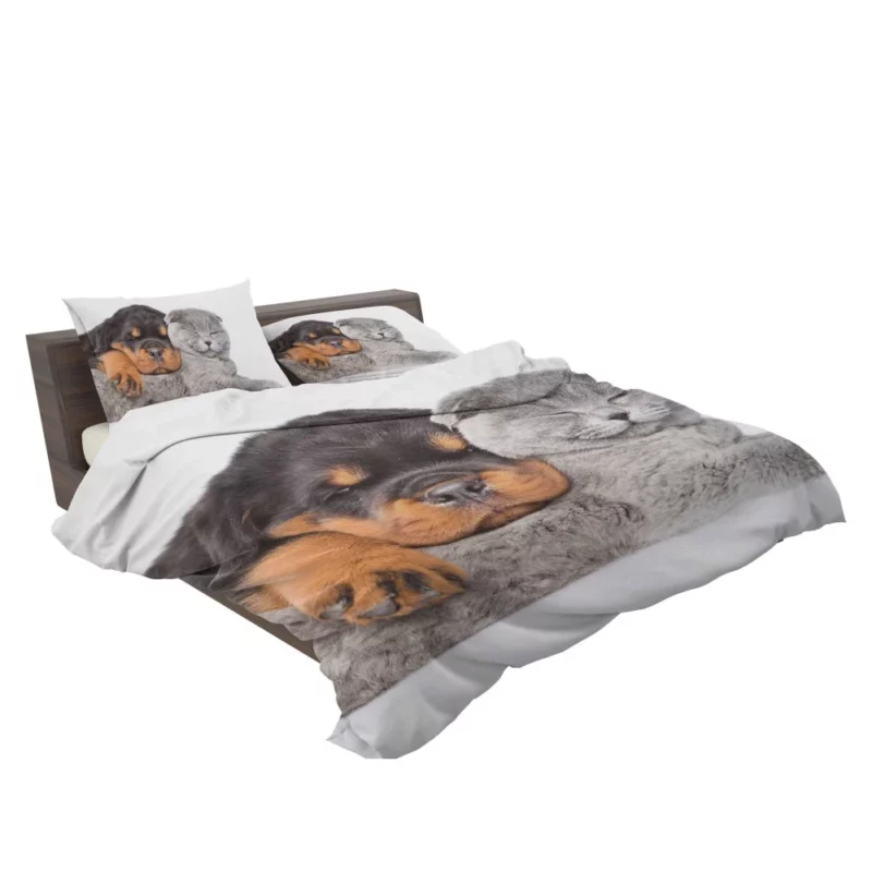 Rottweiler and Cat Cute Camaraderie Bedding Set 2