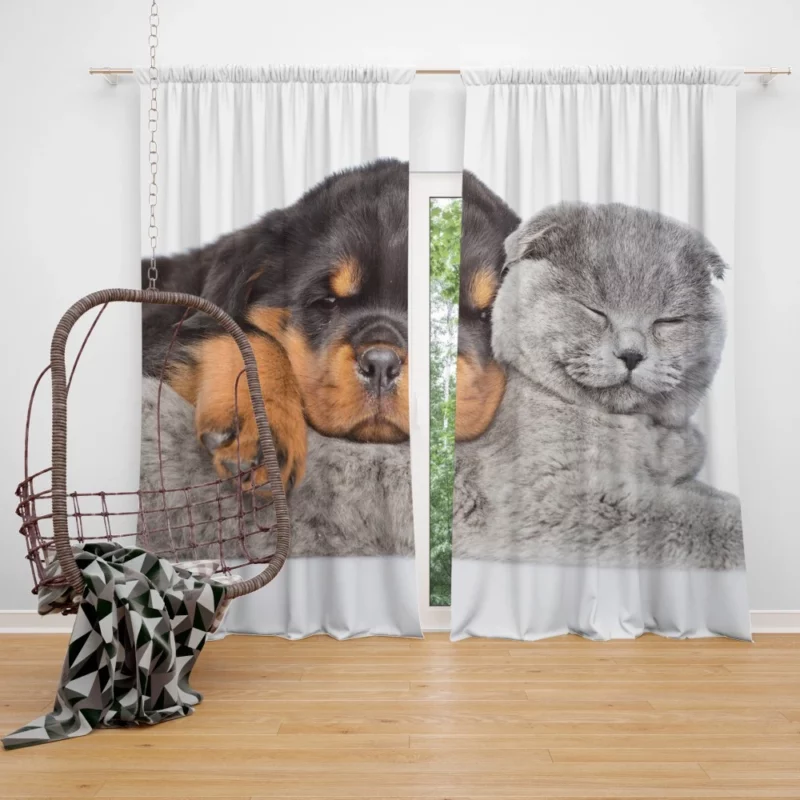 Rottweiler and Cat Cute Camaraderie Curtain