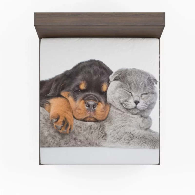 Rottweiler and Cat Cute Camaraderie Fitted Sheet 1