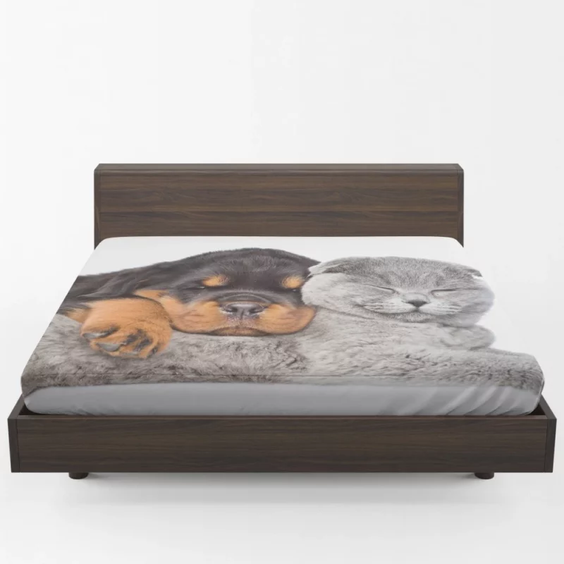 Rottweiler and Cat Cute Camaraderie Fitted Sheet