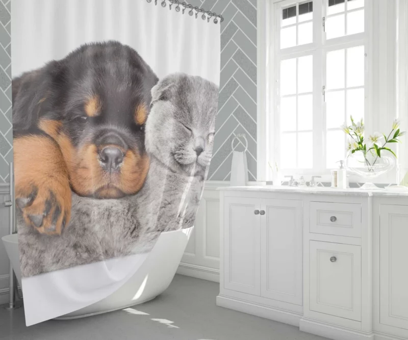 Rottweiler and Cat Cute Camaraderie Shower Curtain 1