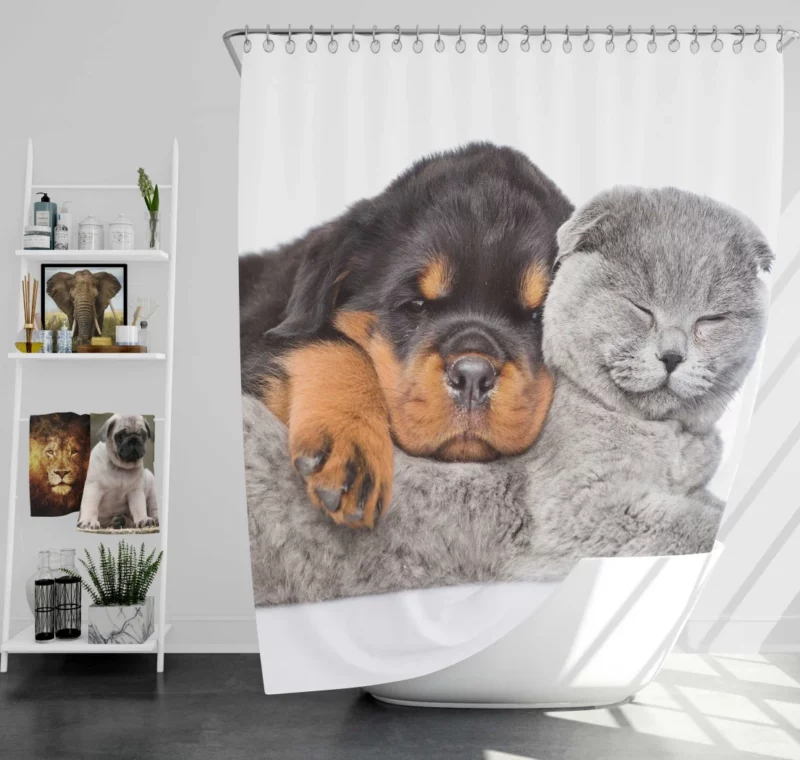 Rottweiler and Cat Cute Camaraderie Shower Curtain