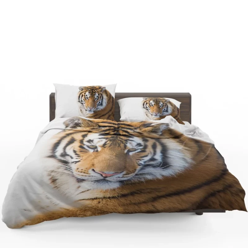 Royal Tiger Roar Majestic Anthem Bedding Set