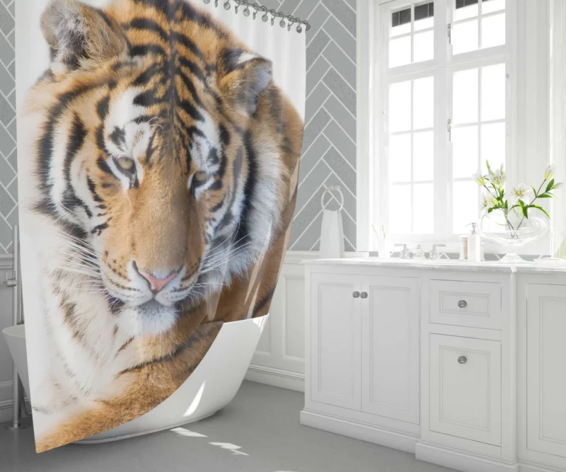 Royal Tiger Roar Majestic Anthem Shower Curtain 1