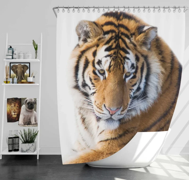 Royal Tiger Roar Majestic Anthem Shower Curtain