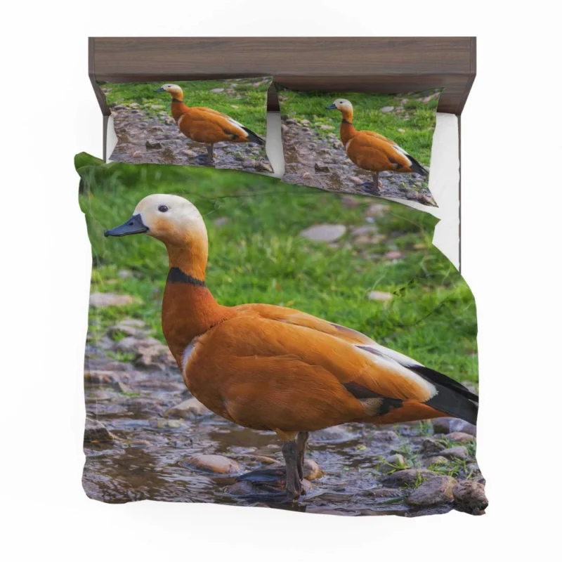 Ruddy Shieldduck Aquatic Charm Exotic Bird Bedding Set 1