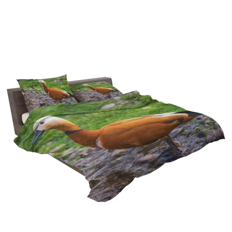 Ruddy Shieldduck Aquatic Charm Exotic Bird Bedding Set 2