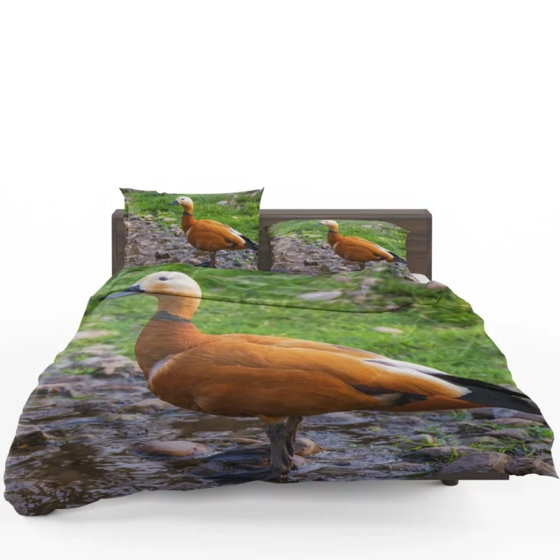 Ruddy Shieldduck Aquatic Charm Exotic Bird Bedding Set