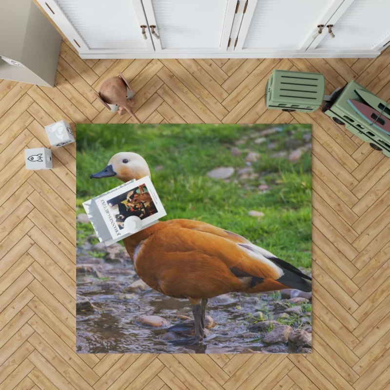 Ruddy Shieldduck Aquatic Charm Exotic Bird Rug