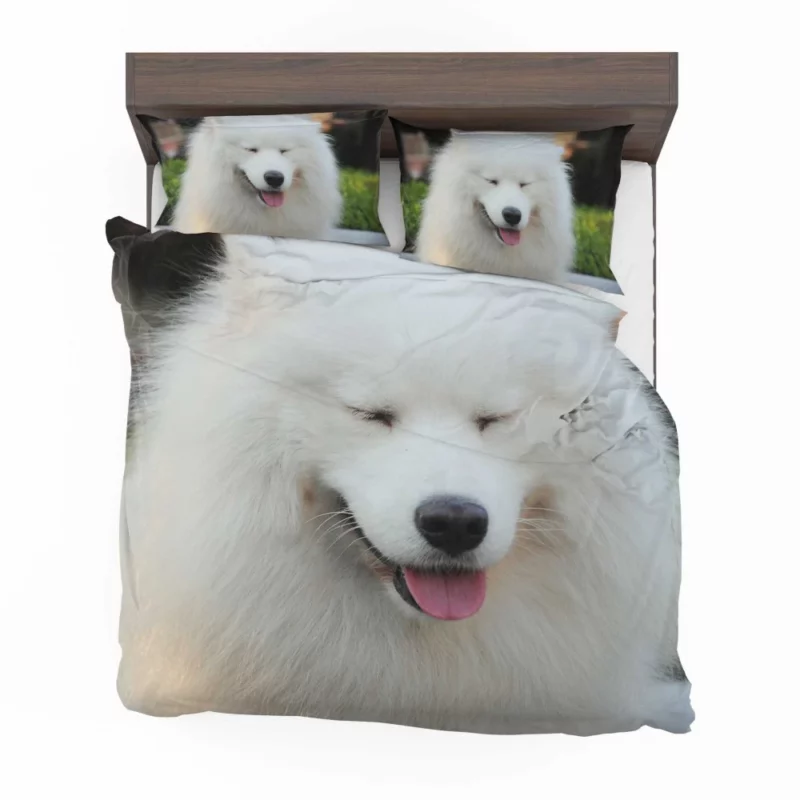 Samoyed Close-Up Fluffy Elegance Bedding Set 1