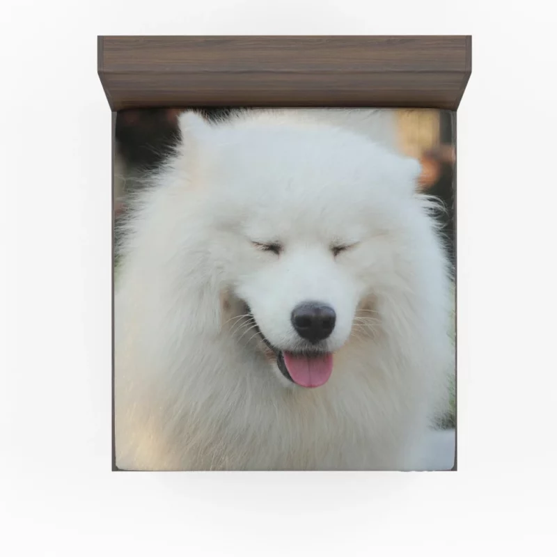 Samoyed Close-Up Fluffy Elegance Fitted Sheet 1